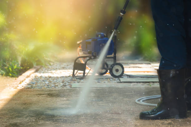 Animal Enclosure Cleaning in Franklin Park, IL